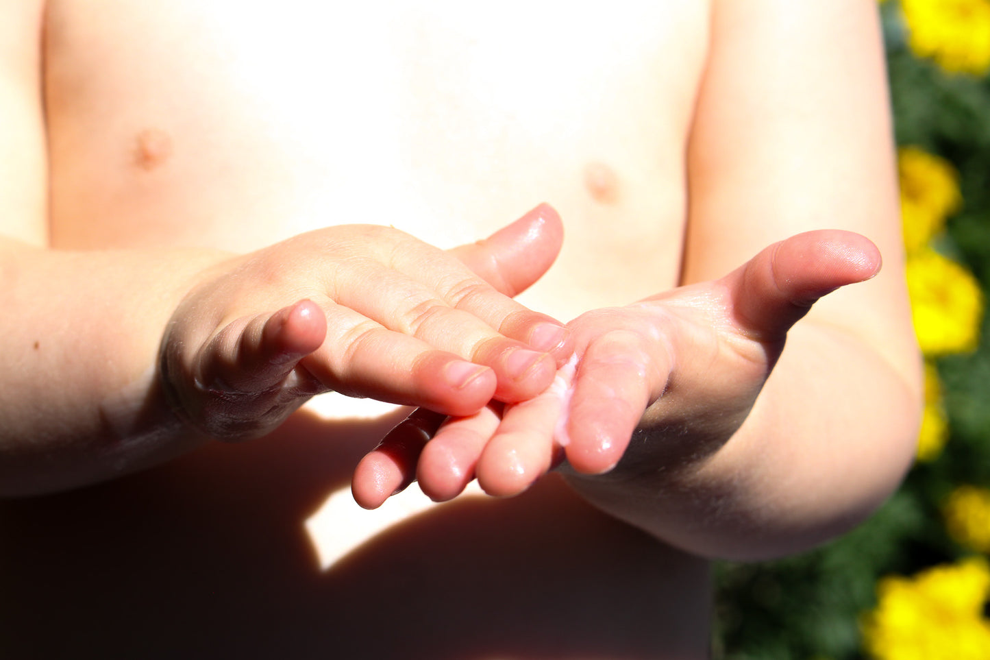 small child massaging tallow product into their hands
