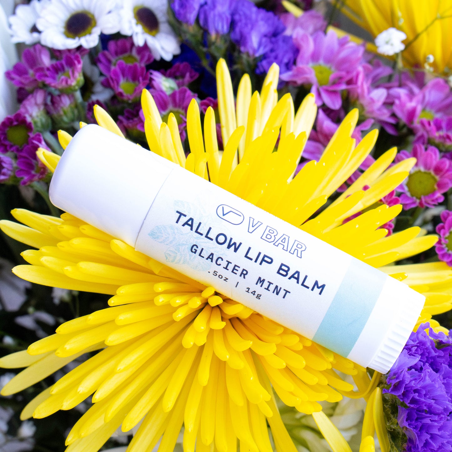 Natural tallow lip balm made from grass-fed beef suet for dry lips and sourced from Montana ranches laying on a yellow flower