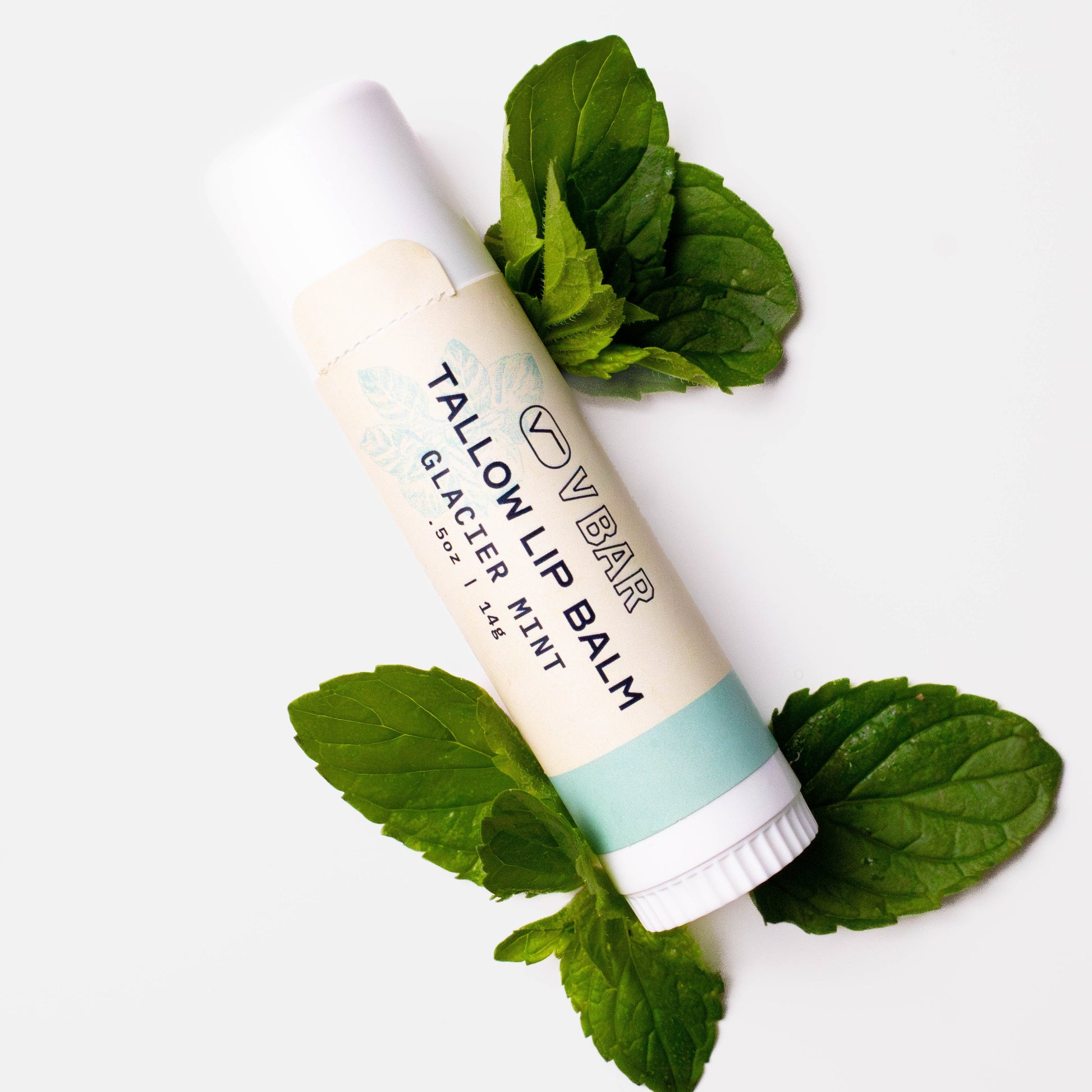 Natural tallow lip balm made from grass-fed beef suet for dry lips and sourced from Montana ranches laying on mint leaves
