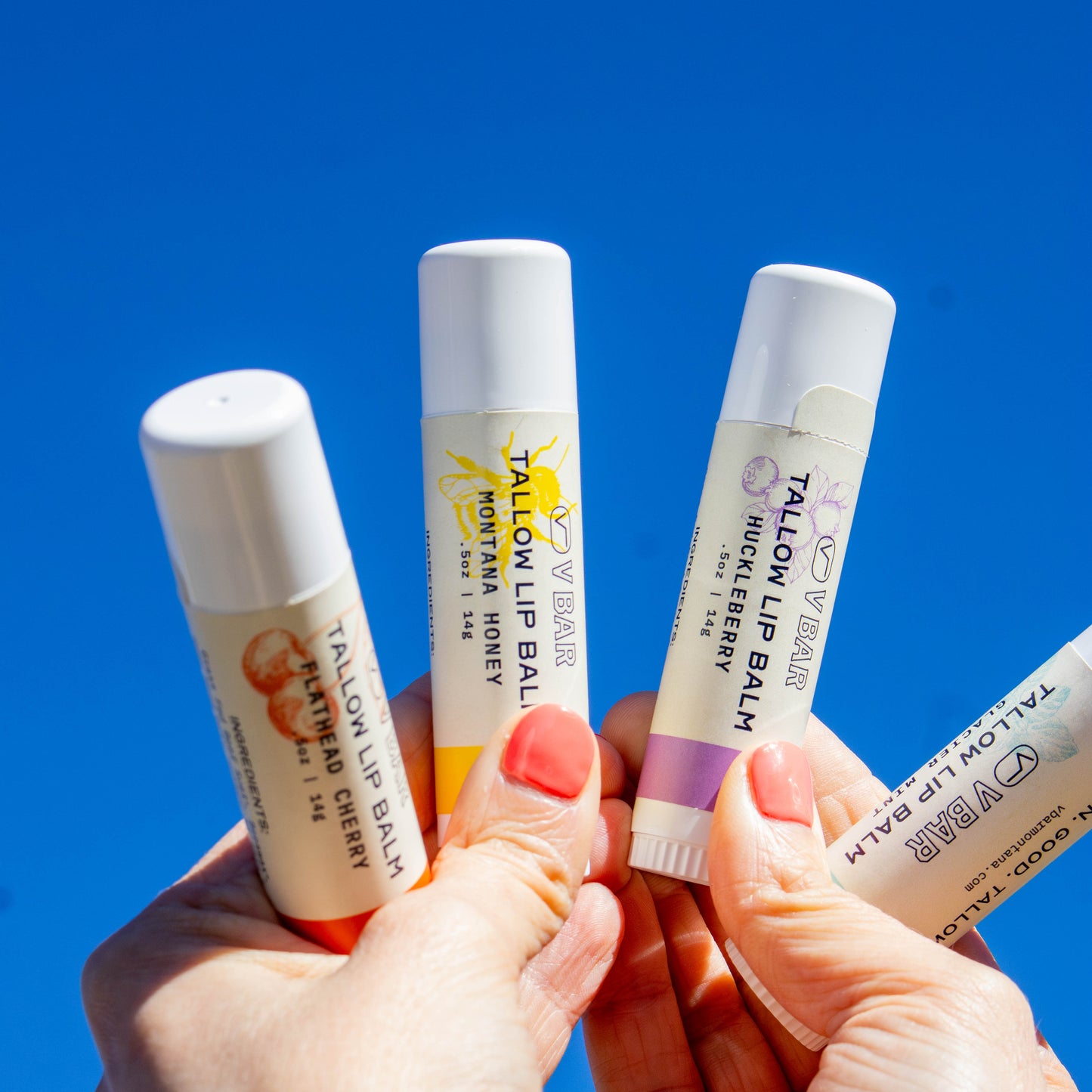 multiple tubes of natural tallow lip balm made from grass-fed beef suet for dry lips and sourced from Montana ranches